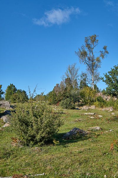 Suède 604 par Geertjan Plooijer