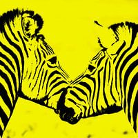 zwei Zebras in gelb Impression