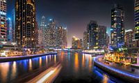 Dubai Marina Panorama