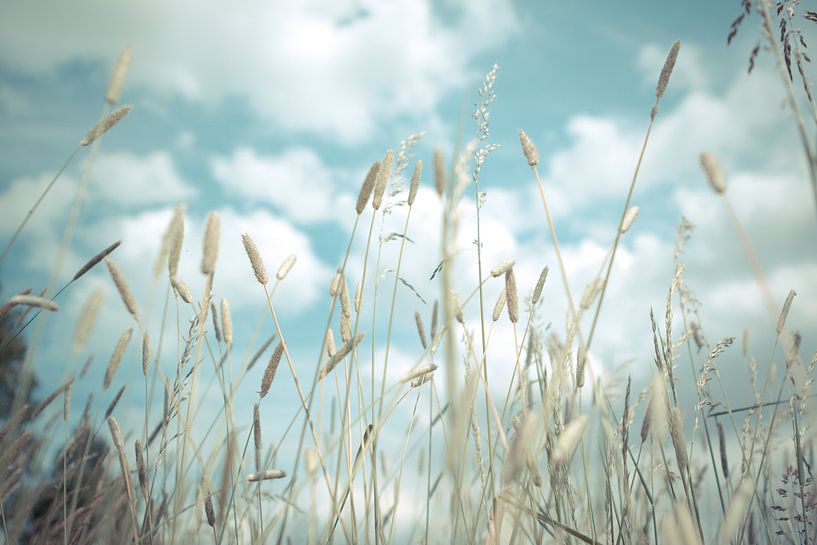 Love is in the air von Jaap de Wit