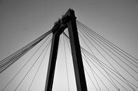 Willemsbrug en noir et blanc, rotterdam