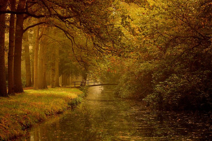 FALL von Bianca Arkesteijn