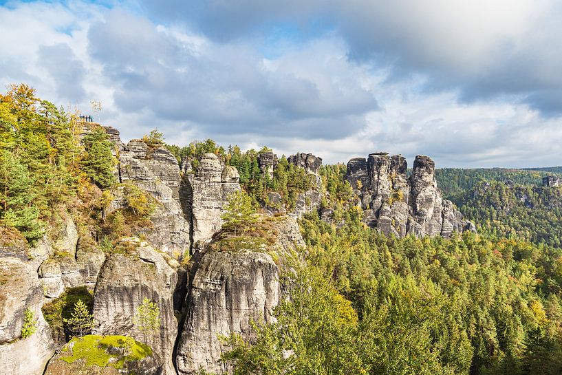 Blick auf Felsen und Bäume in der Sächsische Schweiz von Rico Ködder