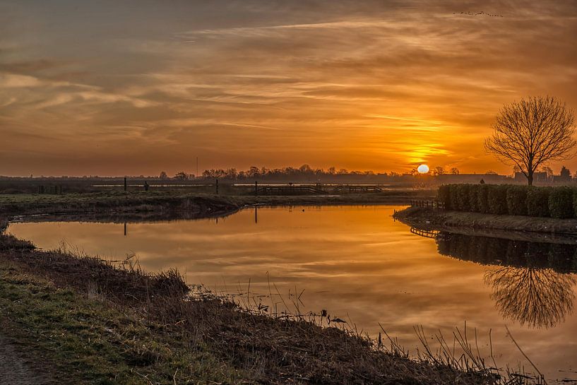 Im orangefarbenen Sonnenlicht von Renate Oskam
