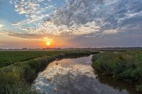 Zonsopkomst in een Zeeuwse polder