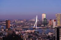 Skyline van Rotterdam bij avondlicht