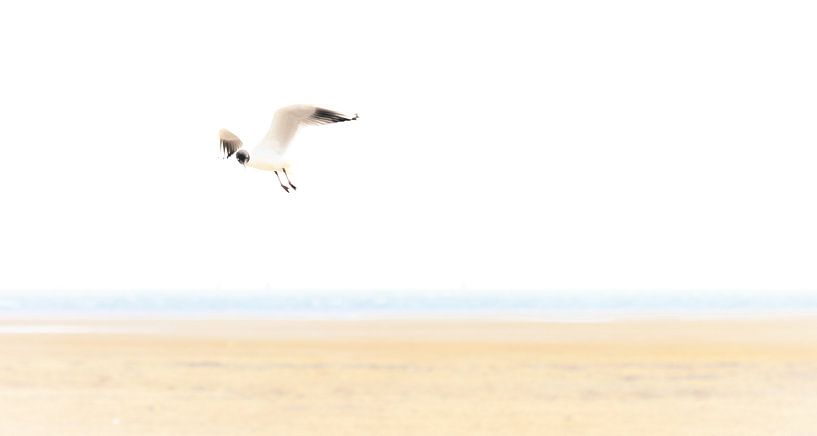 Flüchtige Momente von Cho Tang