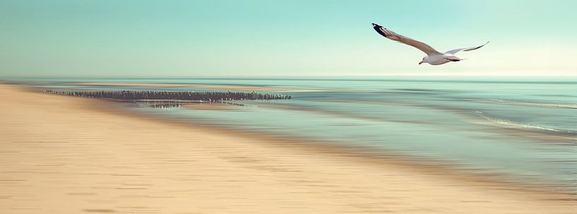 Désir par Hannes Cmarits