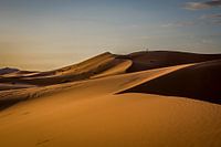 Morning sun in the desert