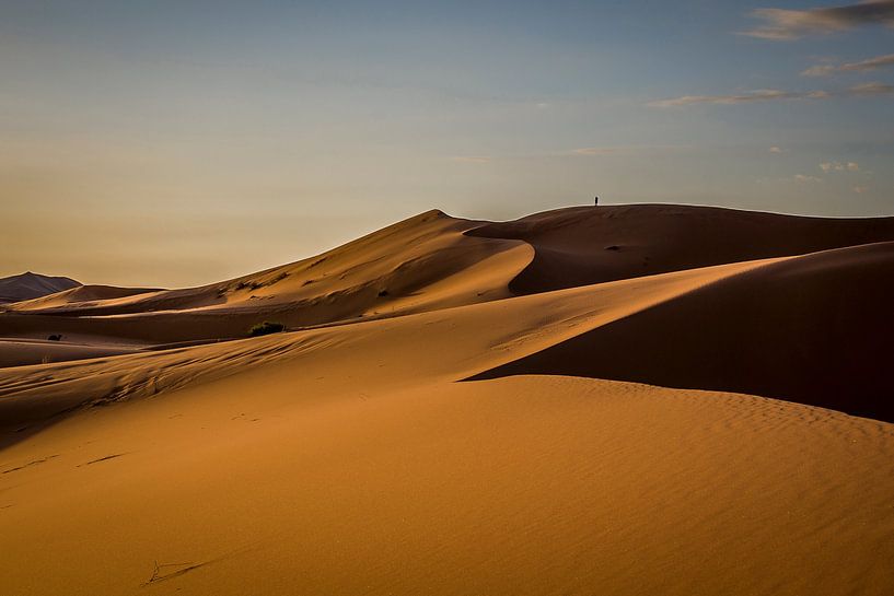 Morgensonne in der Wüste von Peter Vruggink