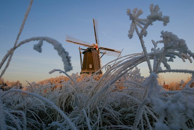Molen / Mill by Marco Dek