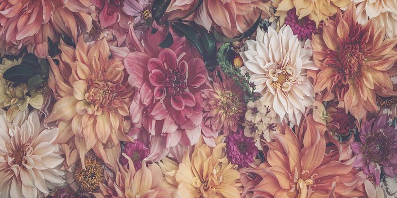 Orange&amp;Pink by Marina de Wit