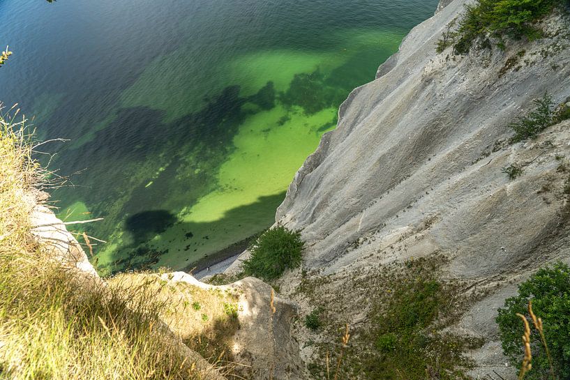 Roche calcaire Møns Klint, île de Mön, Danemark par Peter Schickert