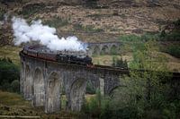 Hogwarts Express Jacobite Dampfzug auf dem Glenfinnan Viaduct in Schottland