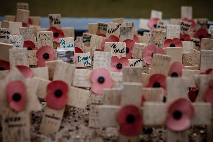 Croix commémoratives à NewCastle par Eric van Nieuwland