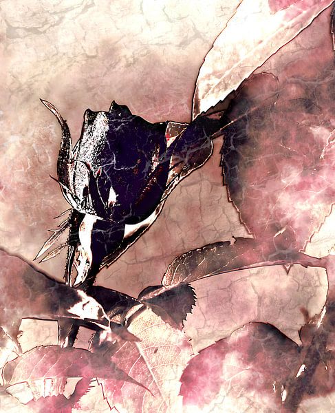 DÍA DE LOS MUERTOS by mimone art