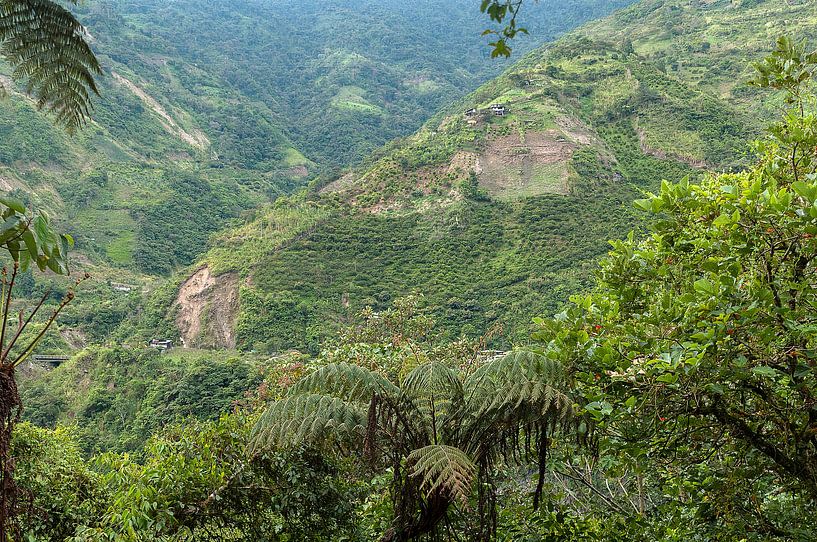 Ecuador: Sangay National Park (Baños) von Maarten Verhees