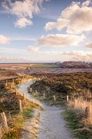Weg durch das Naturschutzgebiet Morsum-Kliff, Sylt