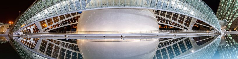 Valencia Stadt der Künste und Wissenschaften von Ko Hoogesteger