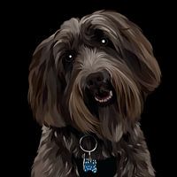 chiens à poils foncés