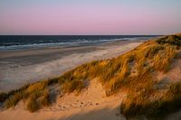 Dunes et Ameland de la mer du Nord dans la lumière dorée