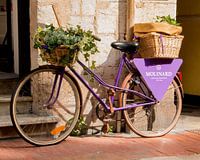 Bicycle Provence, Grasse