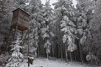Aussichtspunkt im Wald