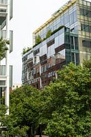 Construire écologiquement dans la ville de New York