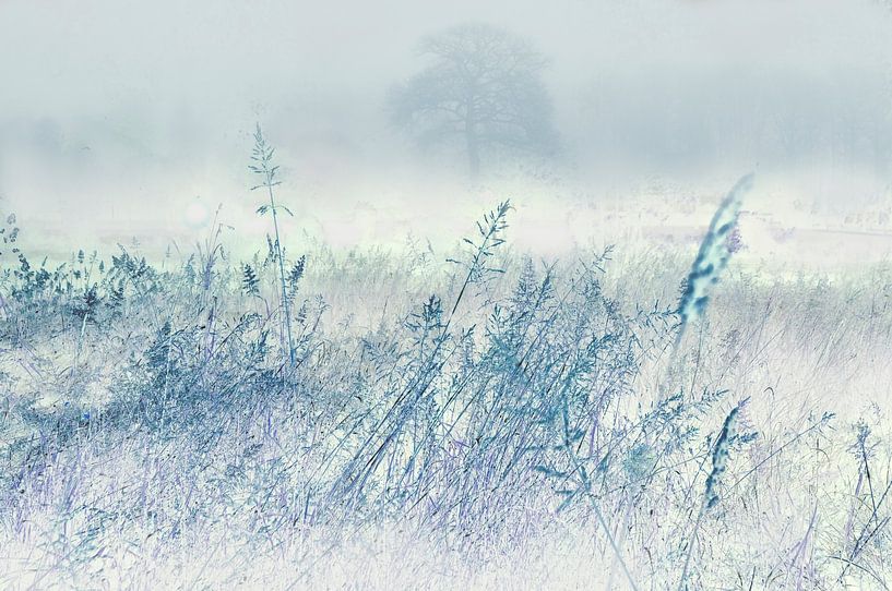 Winterlandschaft von Corinne Welp