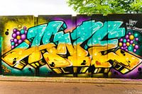 Street ARt the Bear Pit "Step in The Arena" Eindhoven