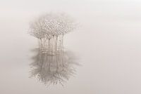 Abstract: Together alone in the void (minimalism)