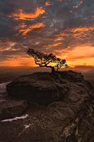 Pin météorologique sur le Lilienstein