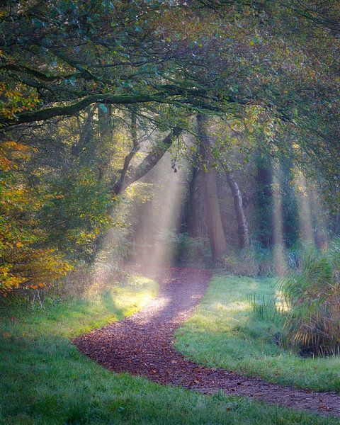 Nature trail with solar samples by Thijs Friederich