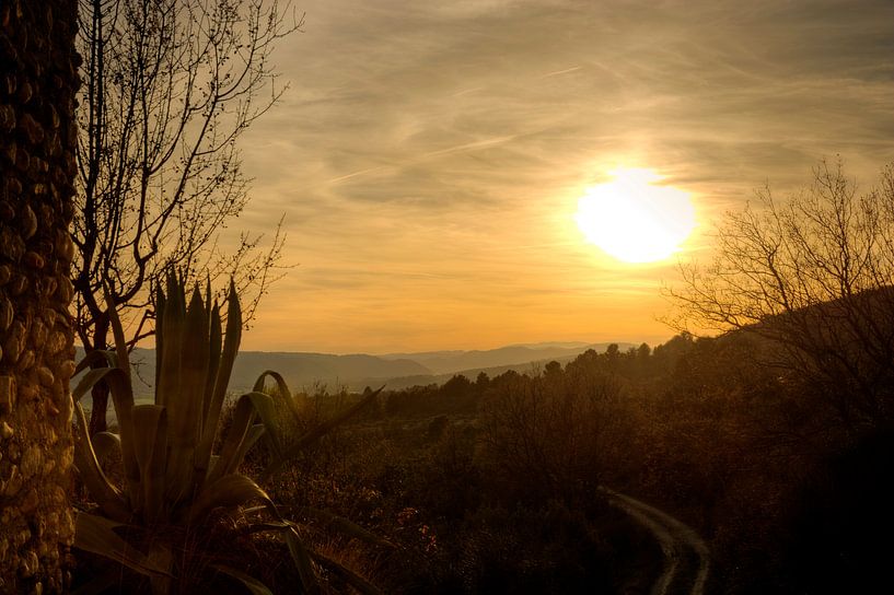 Le coucher du roi by Georges Rudolph