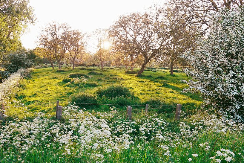 heaven on earth... by Els Fonteine