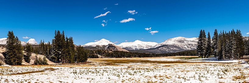 Panorama Tuolumne Meadows in snow at Tioga Pass Yosemite National Park California USA by Dieter Walther