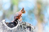 Hold on to your heart