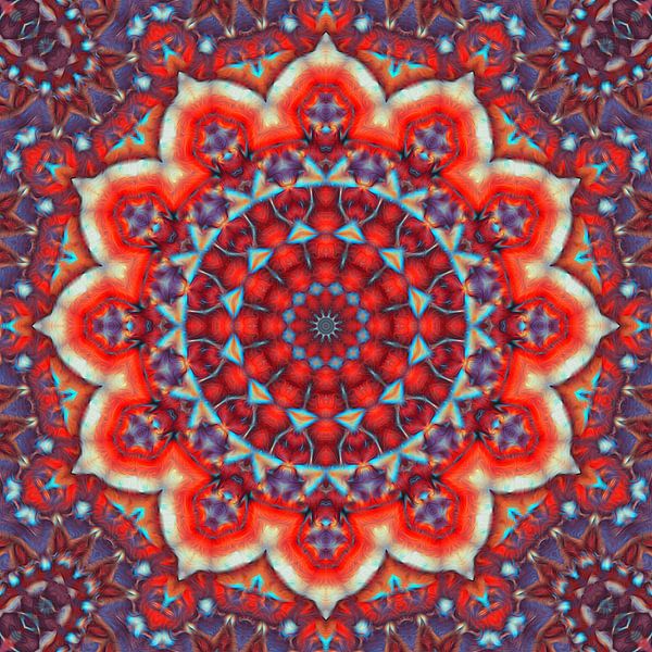 Mandala Abendsonne von Marion Tenbergen