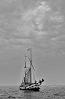 sail texel 2013