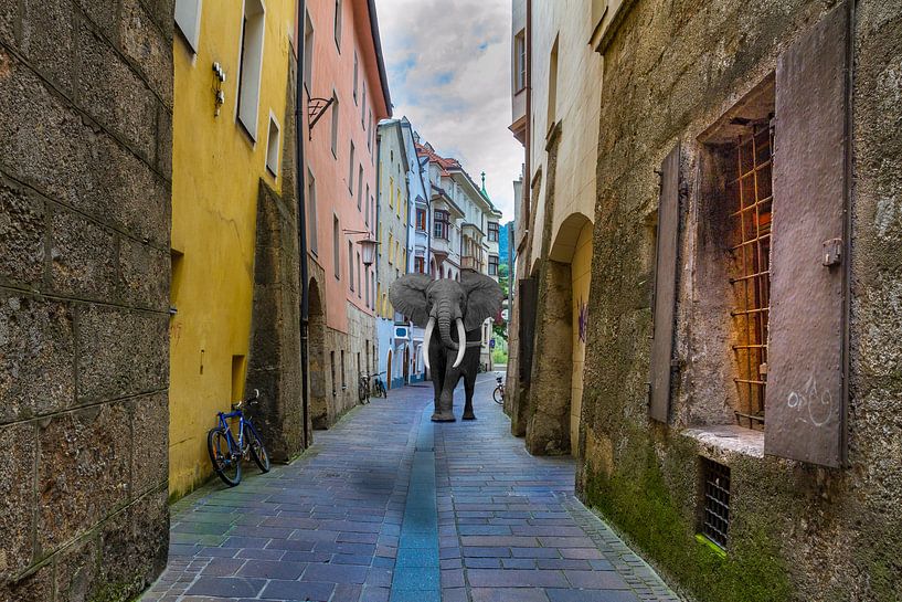 Stadtspaziergang par Puravida - Photographie et art photographique