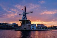 Mühle de Adriaan, Haarlem