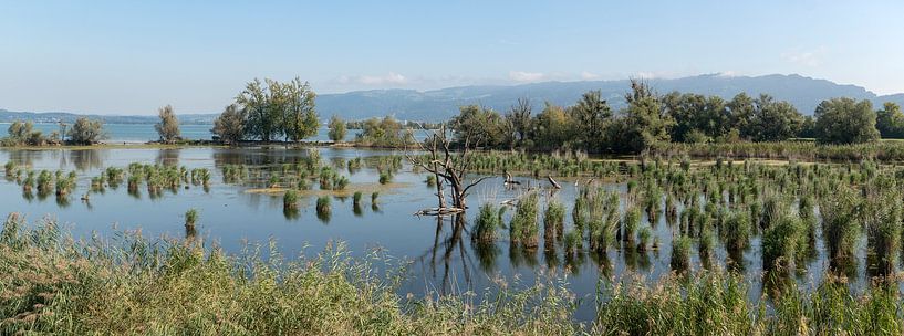 Schleienloch Hard Oostenreich by Richard Wareham