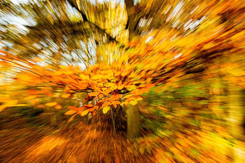 Herbstlaub (ICM-Foto) von Fotografie Jeronimo