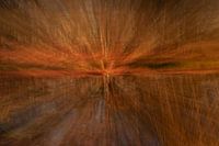 Le centre comme attraction