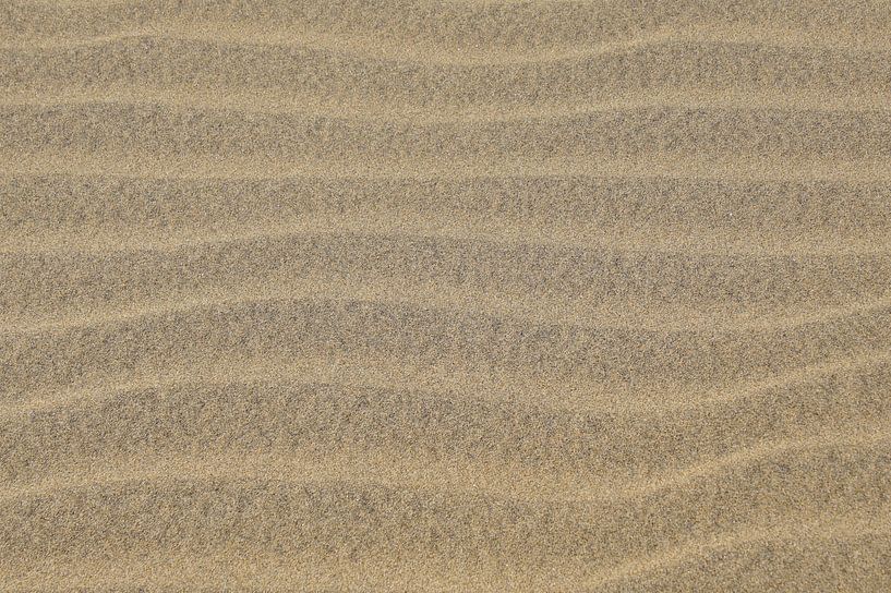 Stand von Jarretera Photos