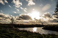 Die Unkrautbekämpfung