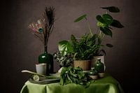 Nature morte en vert