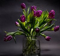 Tulipes