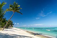 Plage de rêve à l'île Maurice