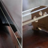 Violon Combi 01 | Image